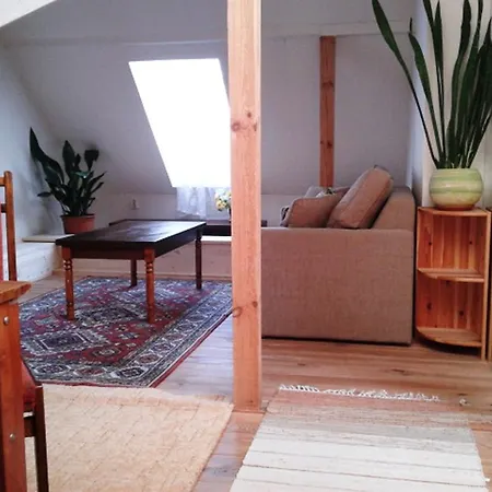 Apartment Volguntes Street